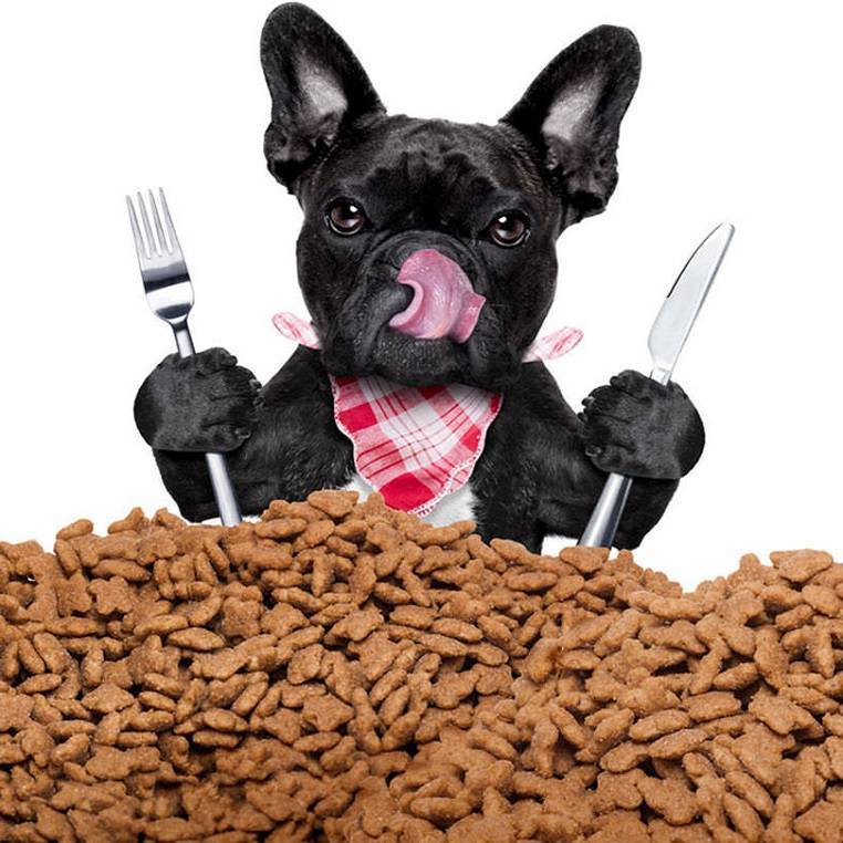 Натуральное питание для собак: правильное, сбалансированное, для мелких, средних и крупных пород
