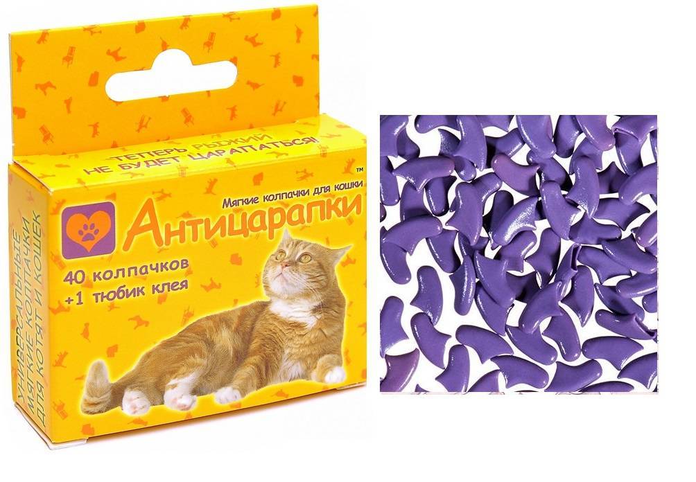 Антицарапки для кошек: преимущества силиконовых накладок (колпачков) для когтей и их применение, отзывы ветеринаров и владельцев