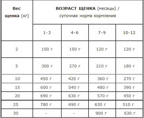 Лучшие корма для собаки - для здоровья шерсти, скелета, зубов: рейтинг 2021