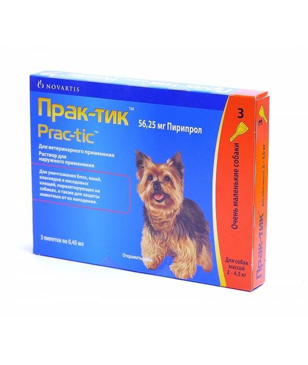 Практик - инновационный препарат против блох и клещей для собак