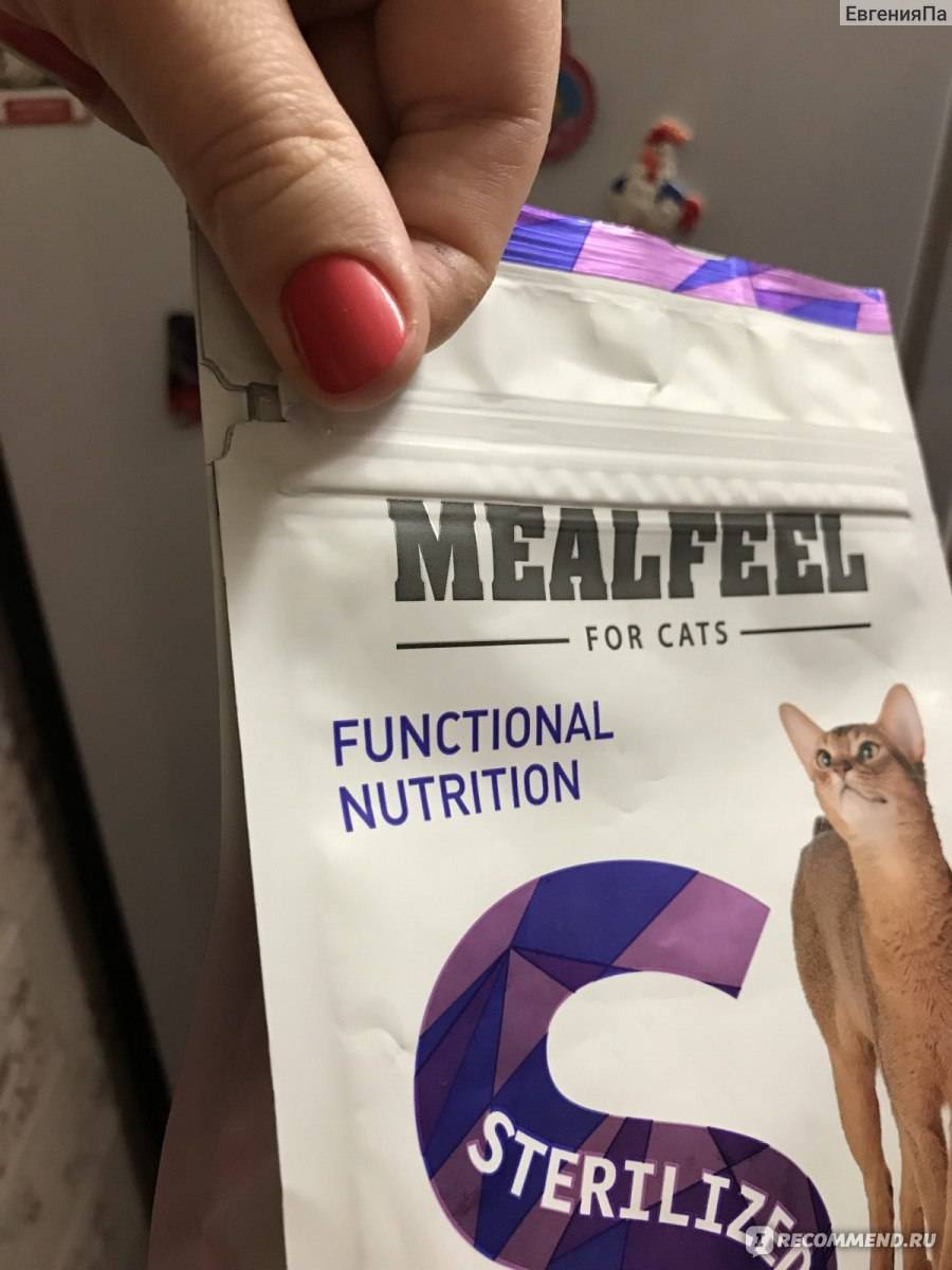 Корм для кошек mealfeel — ассортимент, разбор состава