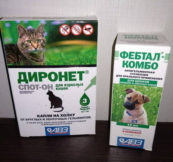Диронет: виды лекарства, как давать кошке, дозировка