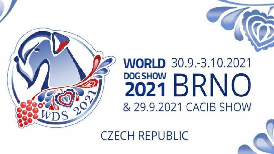 Zooпортал.pro :: international dog show / интернациональная выставка собак чемпионат мира world dog show 2019' г. world dog show 2019 г. шанхай китай