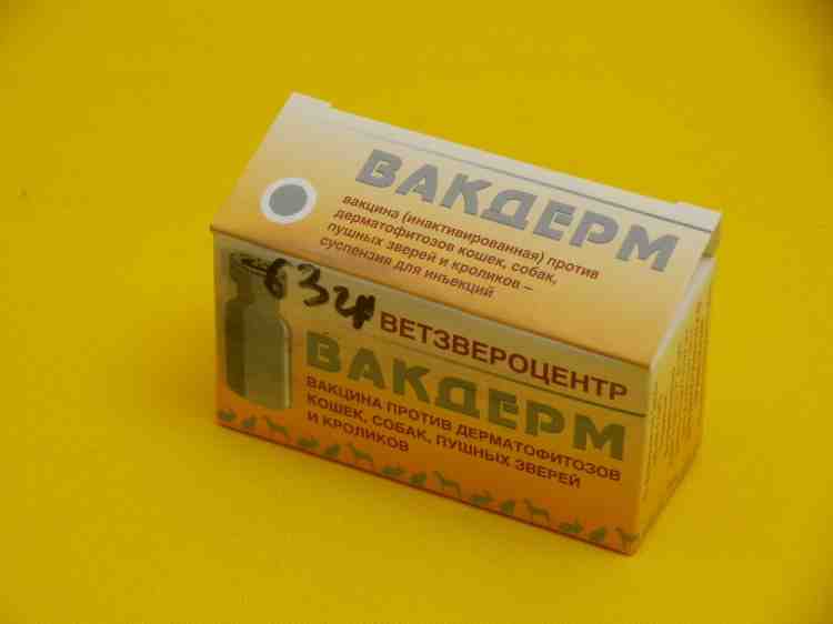 От лишая защитит вакдерм для собак