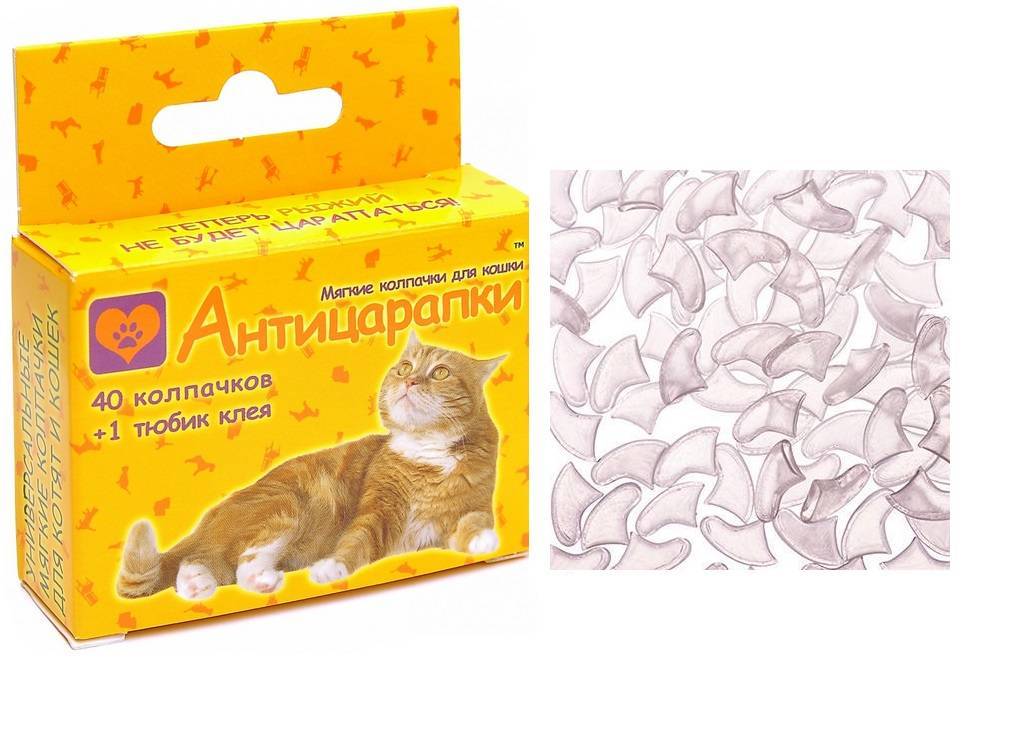 Антицарапки для кошек (мягкие накладки на когти): как выбрать, надеть