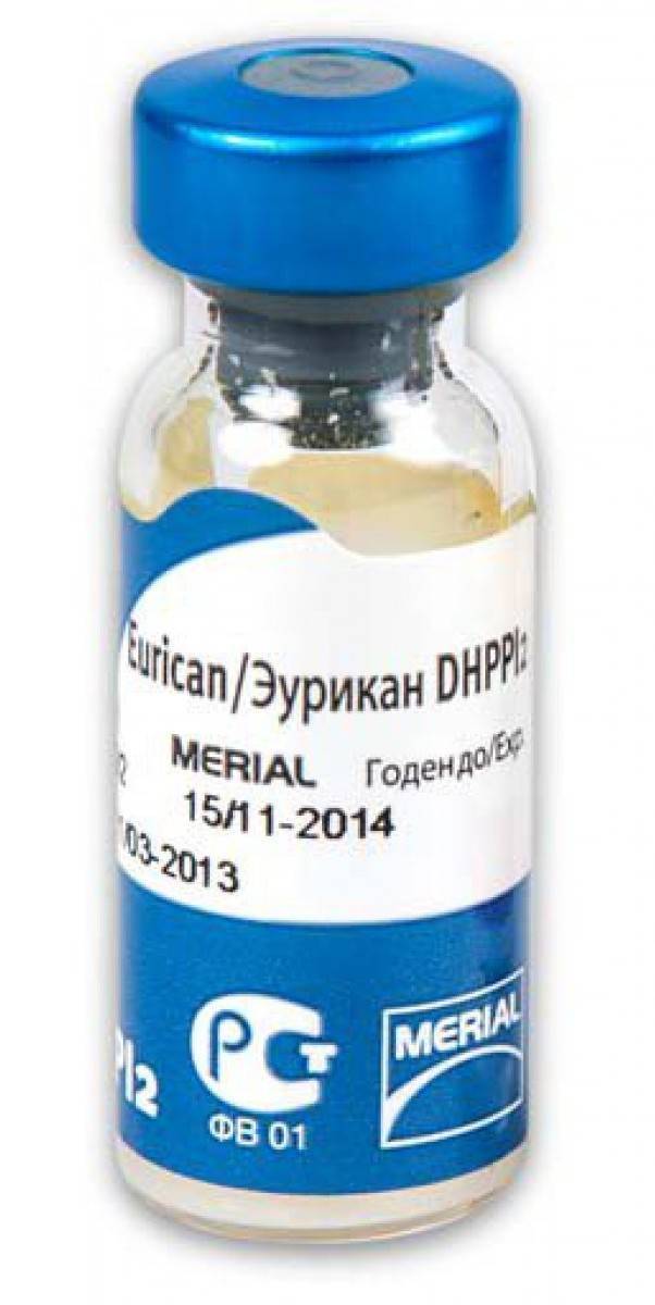 Вакцина для собак с 3 месяцев eurican dhppi2-lr (живая вакцина+растворитель)