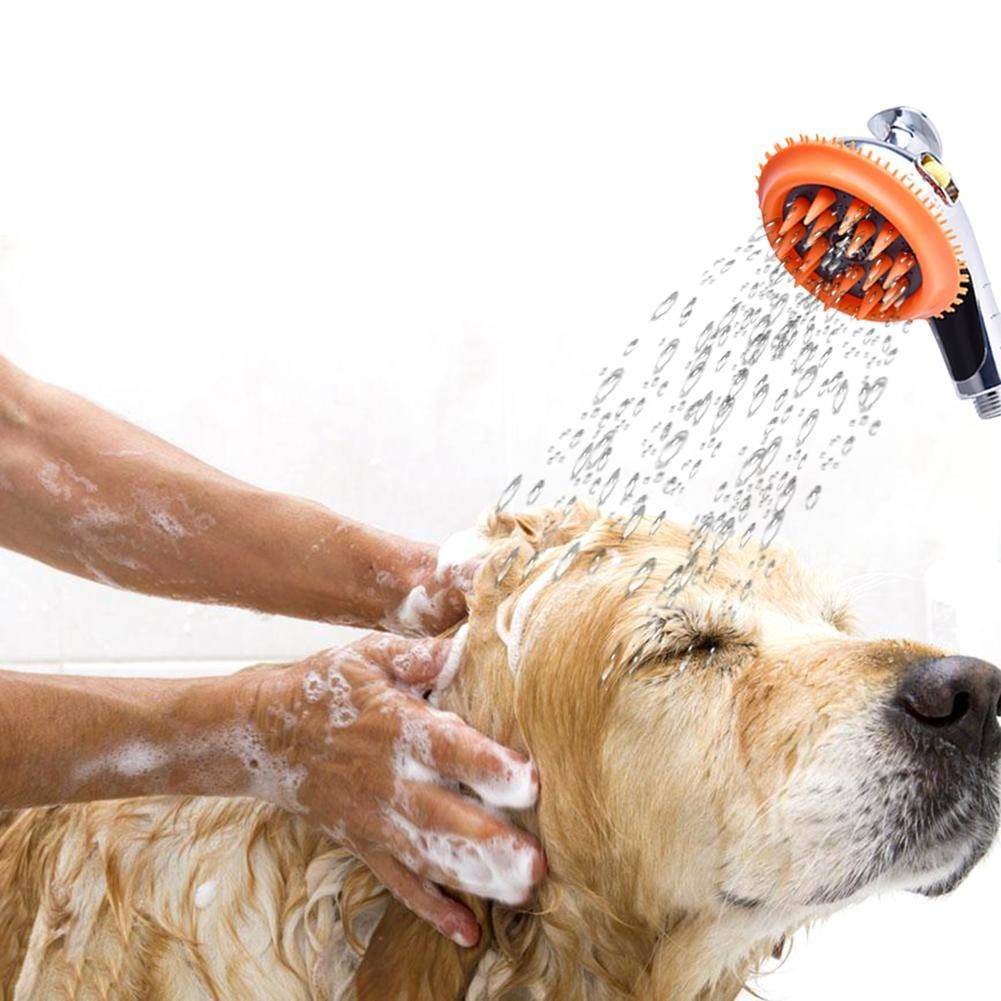 ᐉ как мыть собаку - видео-инструкция - zoovet24.ru