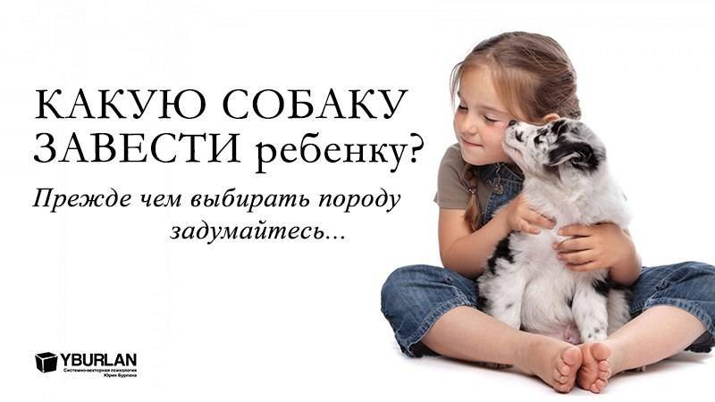 Мама с папой против: как убедить родителей в чём угодно