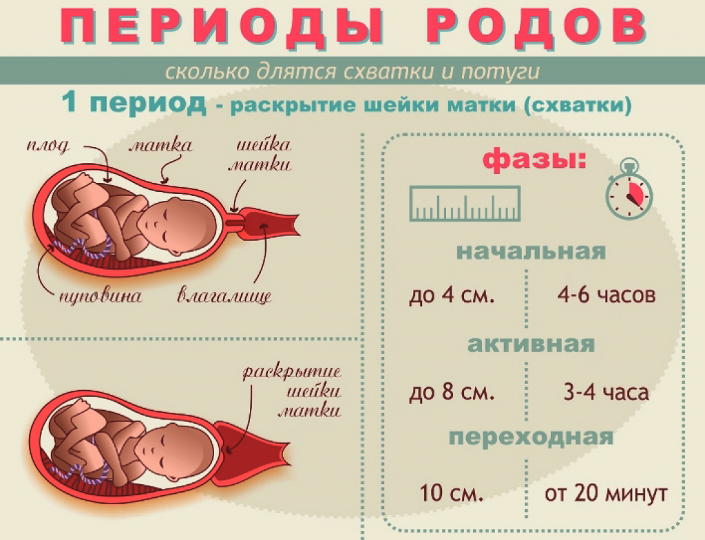 оргазм при беременности и короткая шейка матки при беременности фото 28