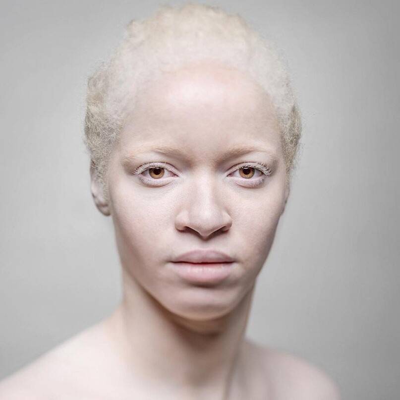 Щенок добермана: белый альбинос, черный, коричневый