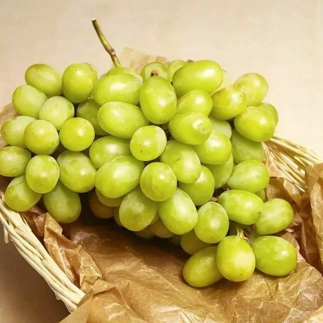 Какой виноград можно давать хомякам?