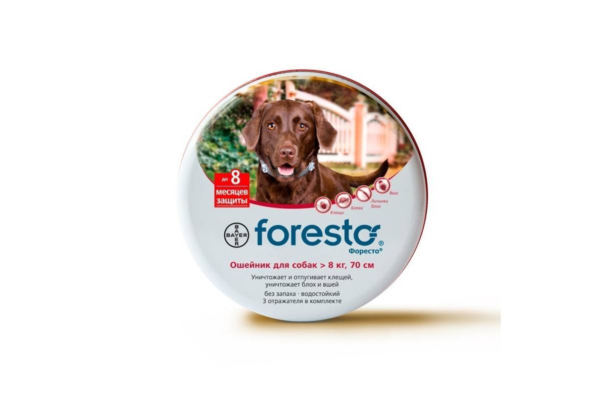 Форесто ошейник для собак от клещей (foresto): инструкция, отзывы, цена купить | petguru