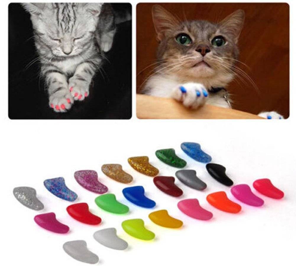 Накладки на когти для кошек: силиконовые и резиновые, как надеть, отзывы