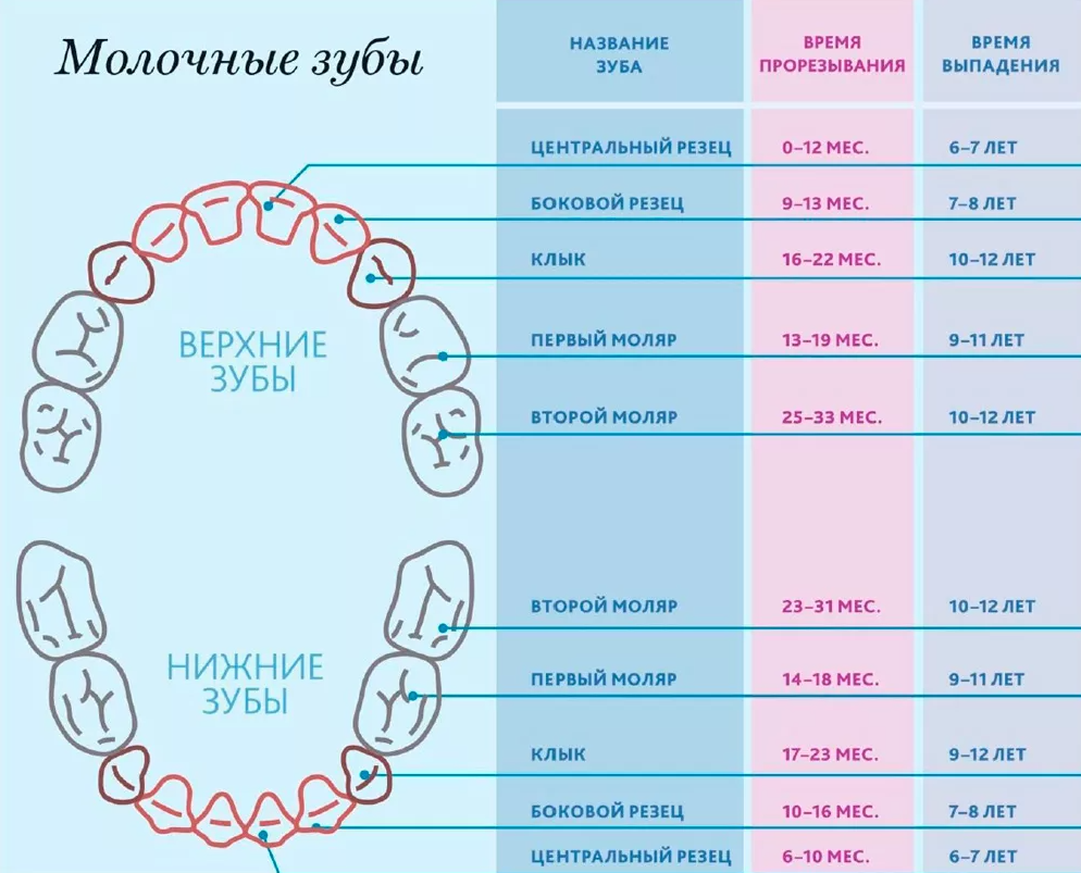 Лечение молочных зубов Томск Центральная Пластиковые брекеты Томск Кольцевой