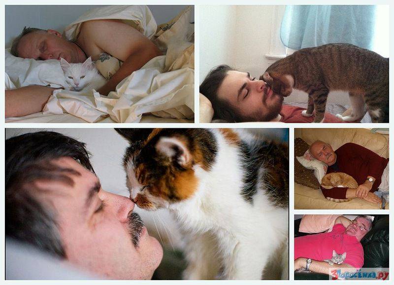 Почему кошки спят в ногах: что это значит, почему коты любят ложиться в ноги хозяину, спать с ребенком, между мужем и женой