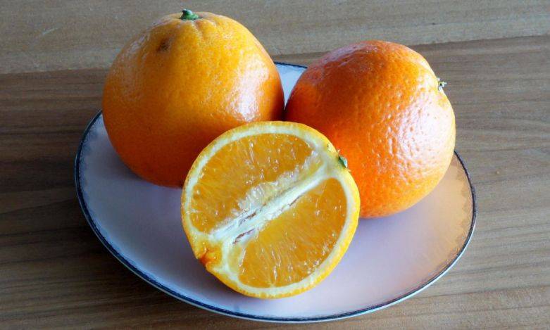 ᐉ можно ли йоркам мандарины – какие животные едят апельсины? - zoomanji.ru