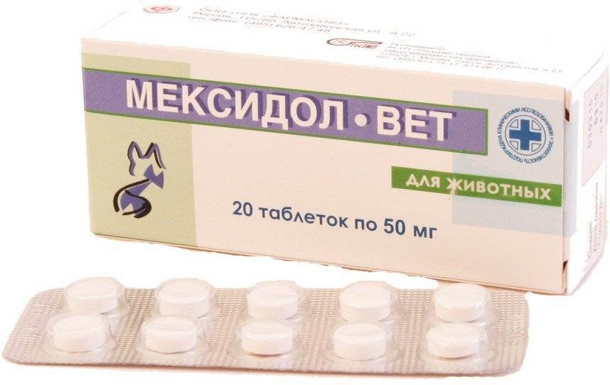 Инструкция по применению антиоксиданта мексидол-вет
