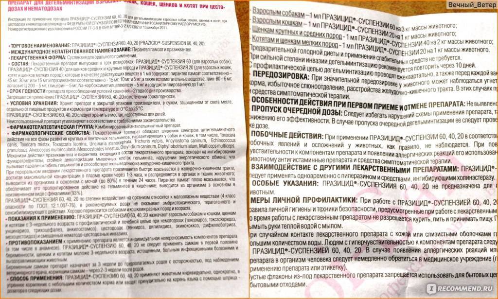 Празицид суспензия плюс для кошек: инструкция по применению, отзывы - kotiko.ru