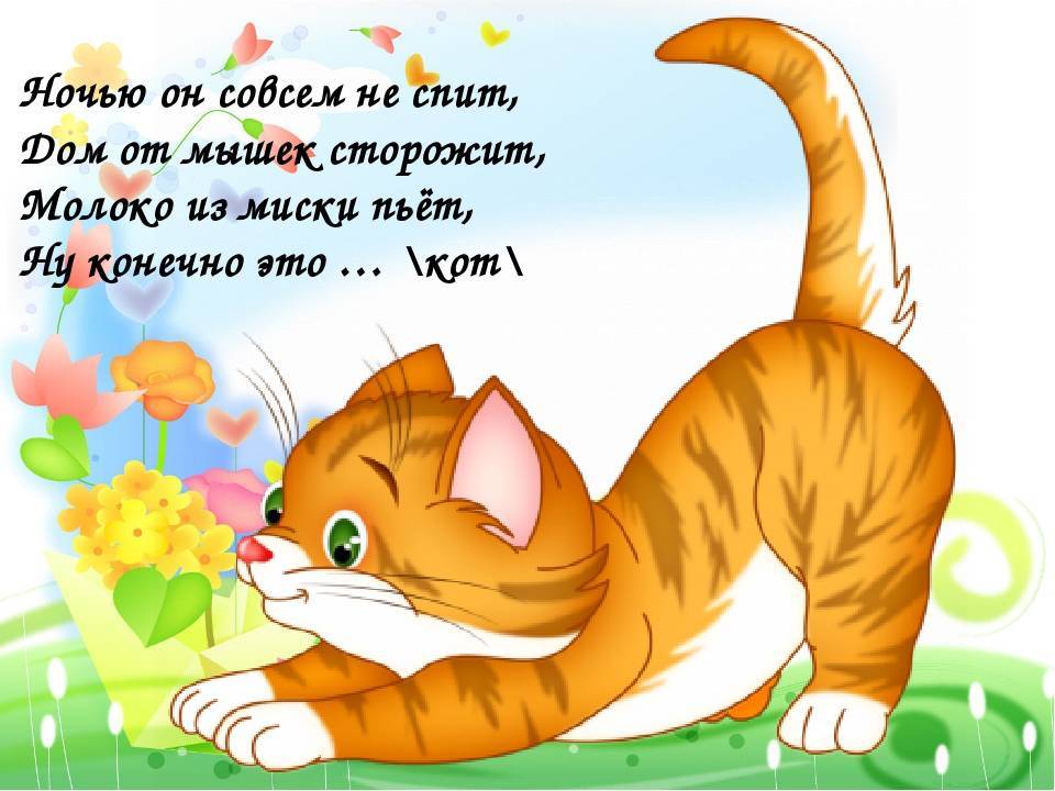 Загадки про кошку для класса. Загадка про кота. Детские стихи про кошек. Стихи про котов для детей. Стихи про котика для детей короткие.