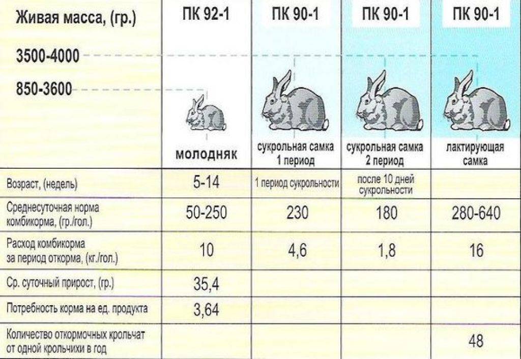 Прививки для кроликов схема