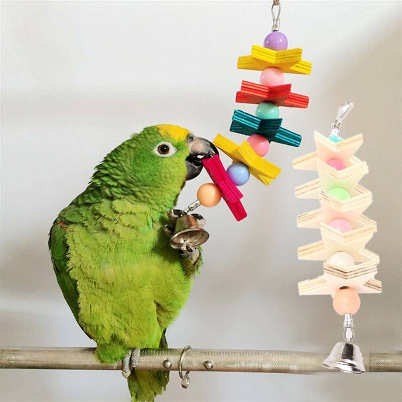 Уход и содержание волнистых попугаев: что нужно для правильной адаптации в домашних условиях? температура и правила ухода