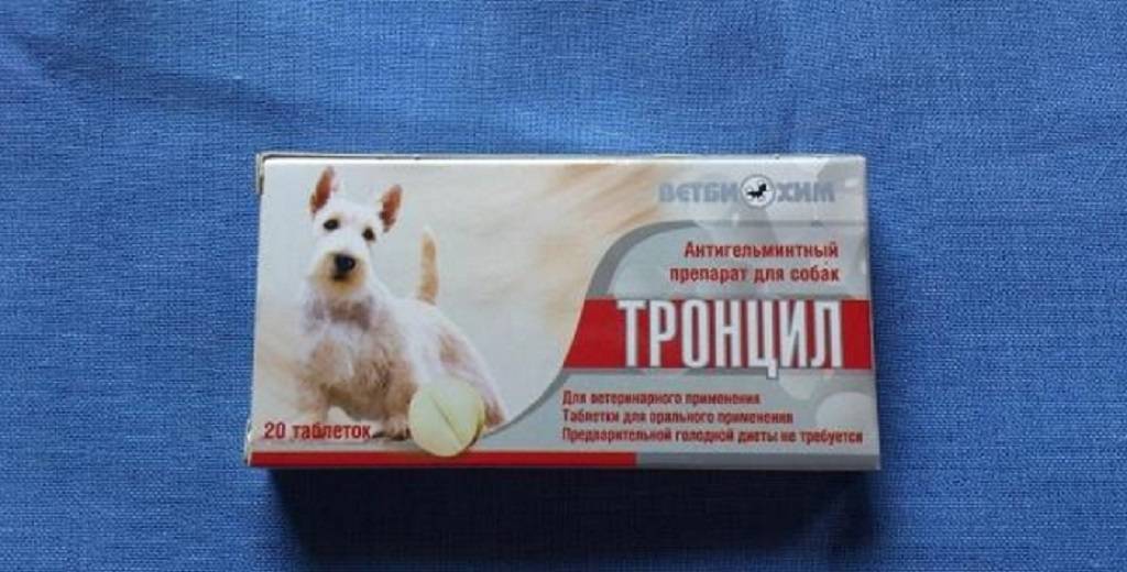 Тронцил для собак: характеристика препарата и его применение | ваши питомцы