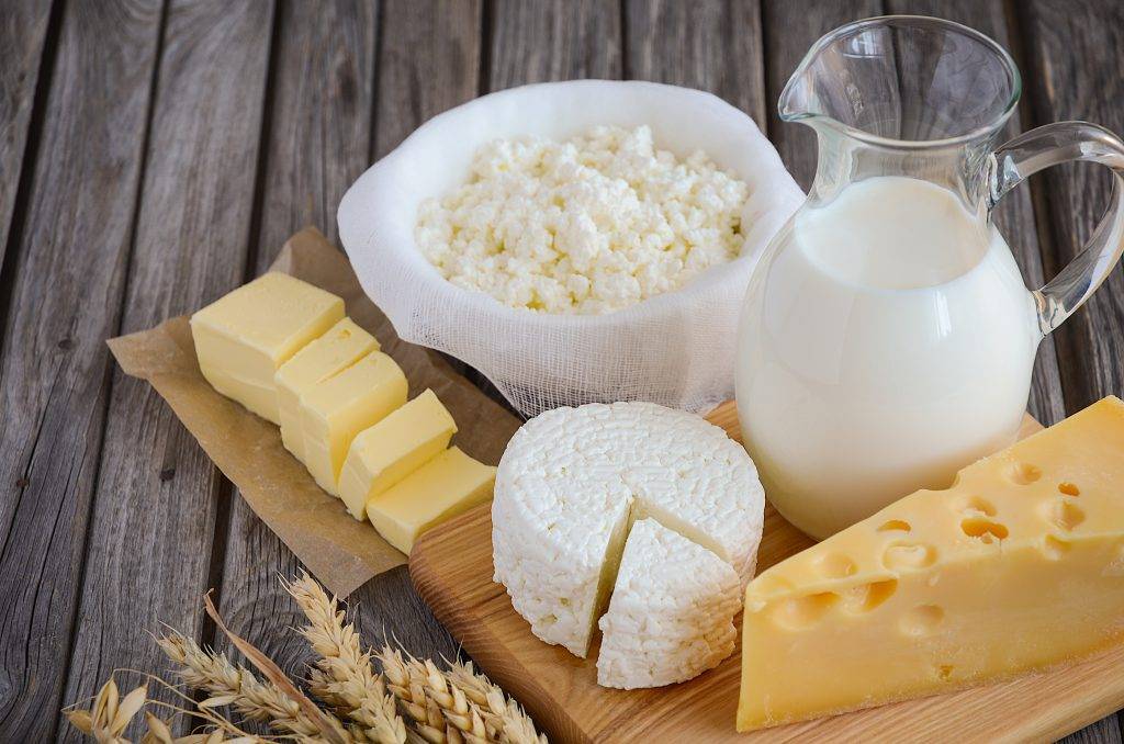 Молочные продукты к чему относятся. кисломолочные продукты | здоровье человека