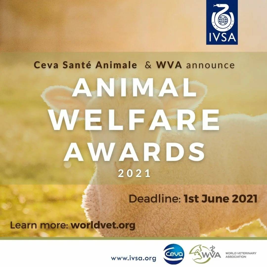 Nominations deadline extended for ceva animal welfare awards 2019 - central horse news
