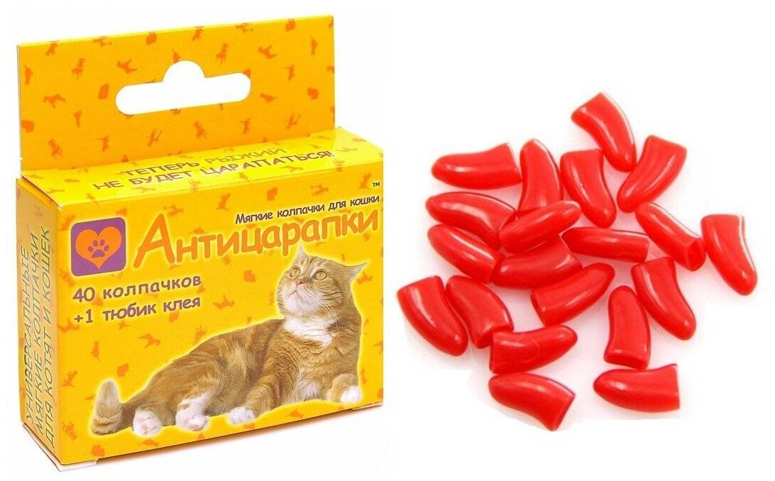 Силиконовые накладки на когти для кошек: преимущества, недостатки, процедура наклеивания