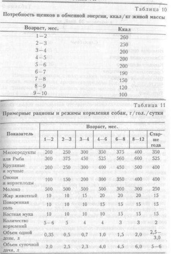 Какими кашами можно кормить щенка в 1 месяц