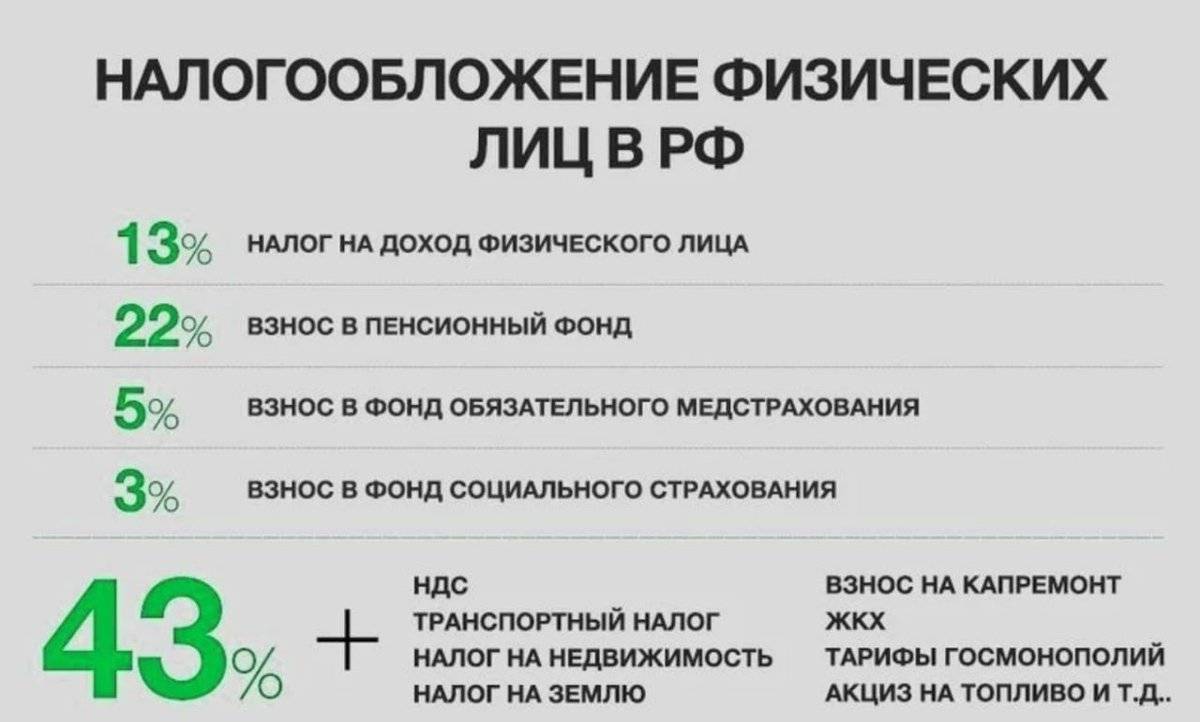 Налог на домашних животных в россии в 2021 году с 1 июля: размер, последние новости, изменения