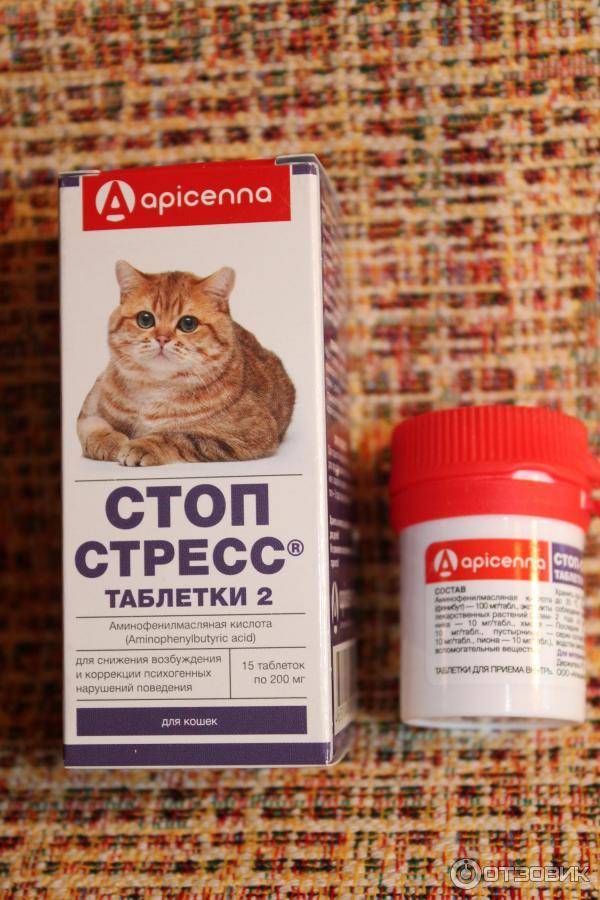 Таблетки стоп-стресс для кошек - инструкция по применению