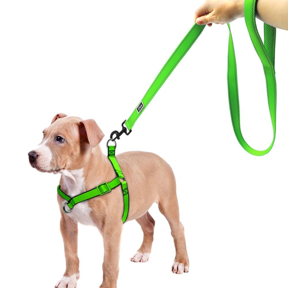 Шлейка для собак: удобный способ держать питомца на поводу