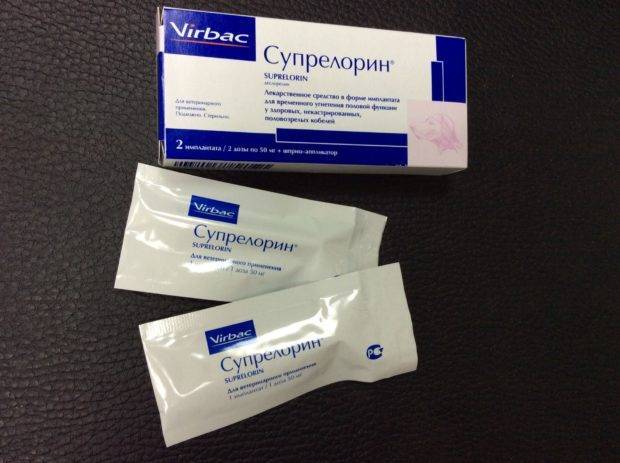 «супрелорин»: инструкция по применению препарата собакам и котам