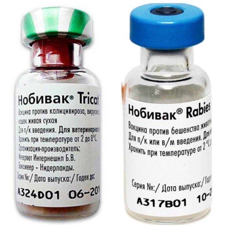 Нобивак для кошек: nobivac вакцина