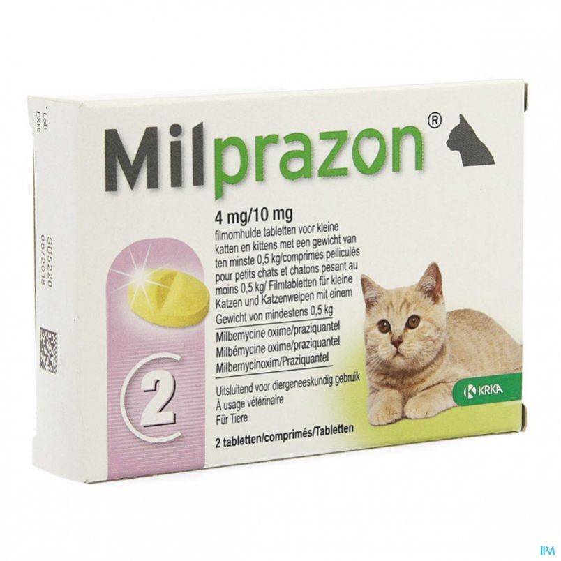 Милпразон для кошек: инструкция по применению, аналоги, отзывы