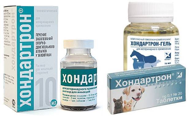 Хондропротекторы для животных: обзор препаратов - noltrex в ветеринарии.