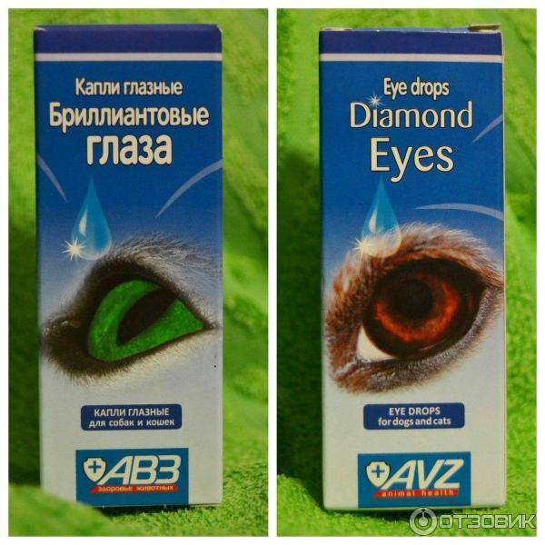Капли для кошек и собак "бриллиантовые глаза" - особенности применения, противопоказания и отзывы :: syl.ru
