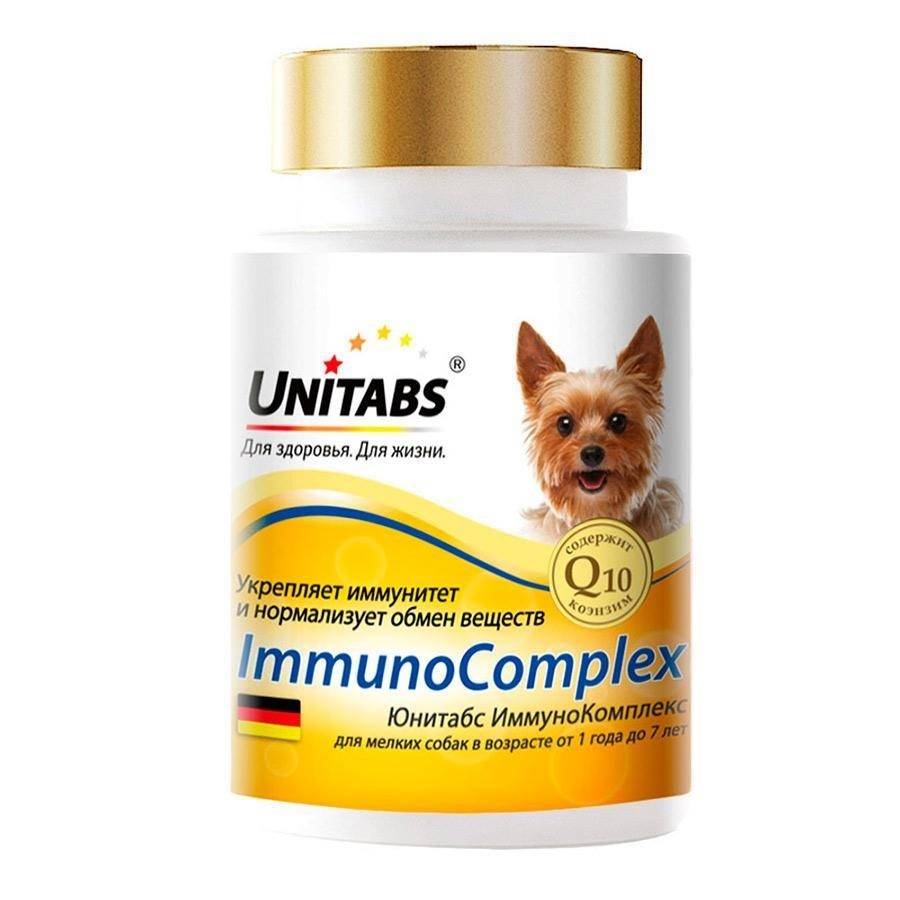 Топ-15 лучших витамин для собак