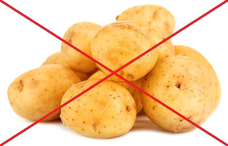 Можно ли хомякам картошку, в каком виде и есть ли вред от картофеля для грызуна
