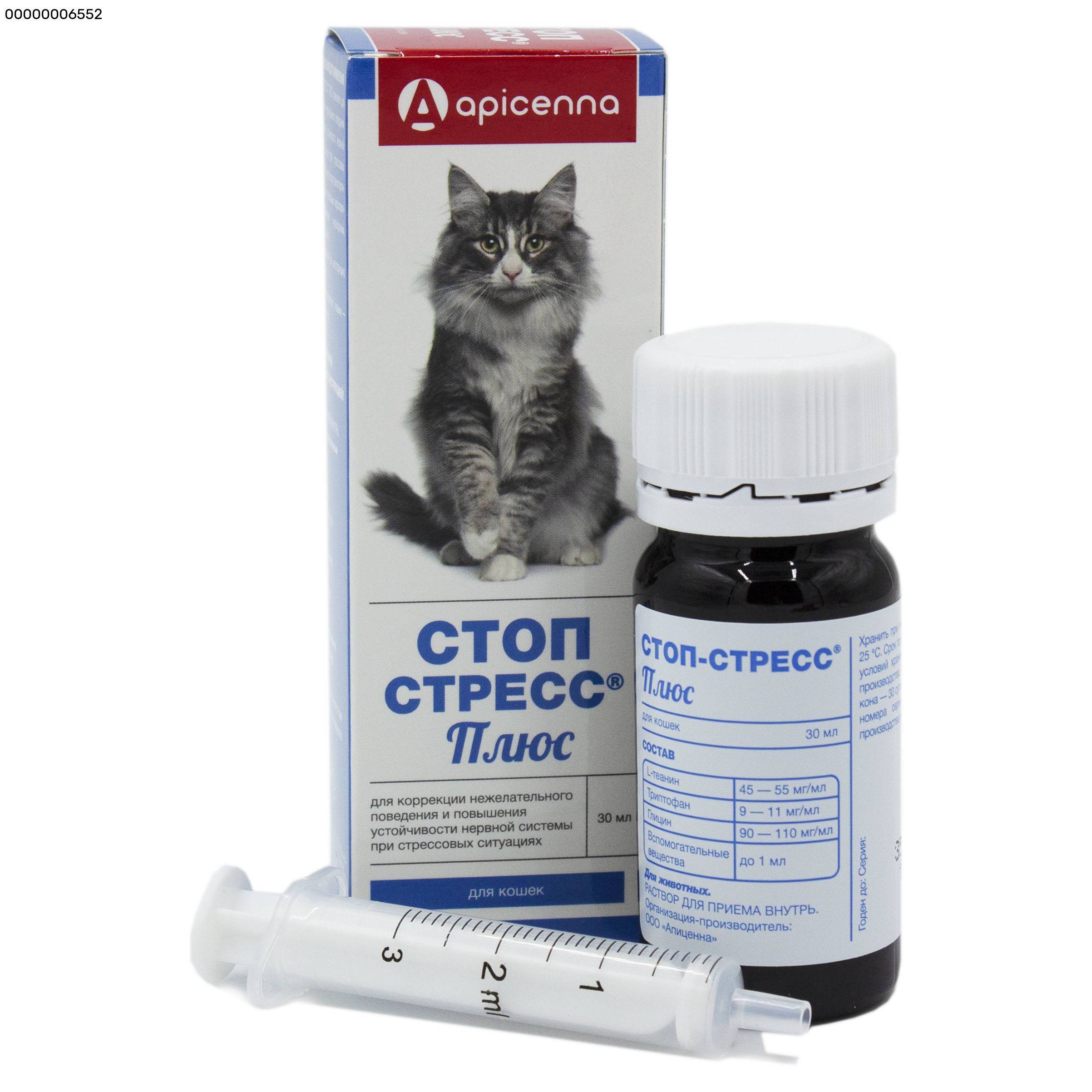 Успокоительное для кошек: обзор эффективных препаратов при течке и стрессе