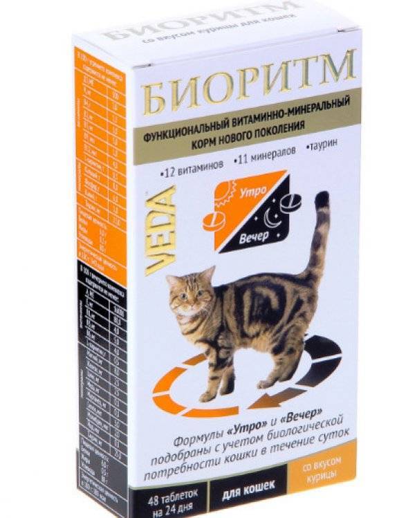 Витамины для кошек: какие бывают и как выбрать добавки к питанию вашего питомца