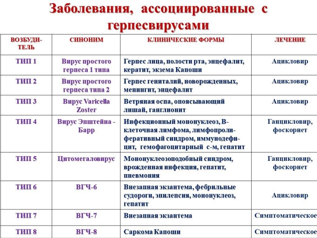 Герпесвирус кошек: симптомы, диагностика, лечение