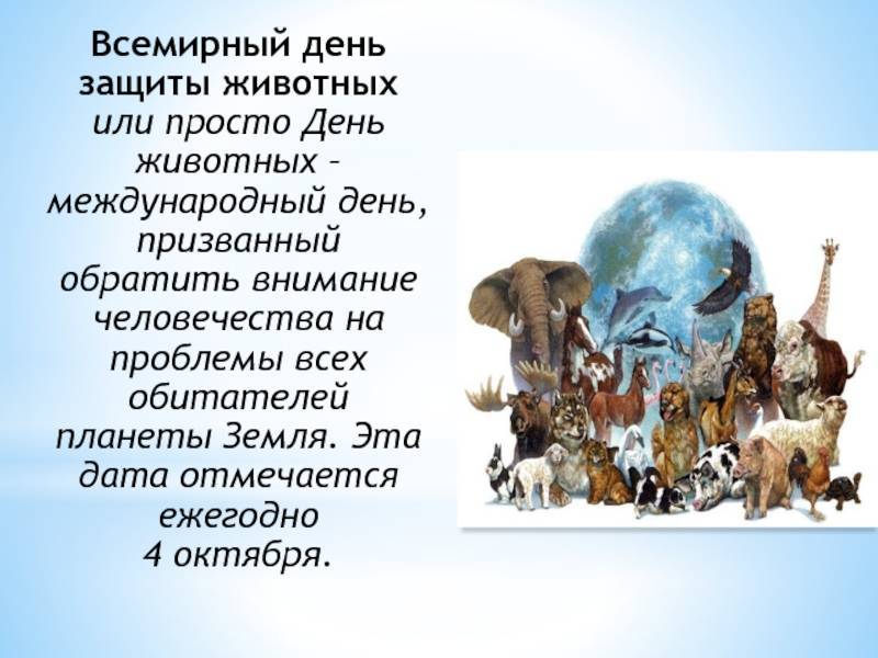 Всемирный день защиты животных 4 октября 2021 - история и традиции | online.ua