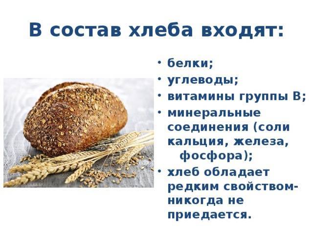 Хлеб для хомяка — лакомство, или яд?