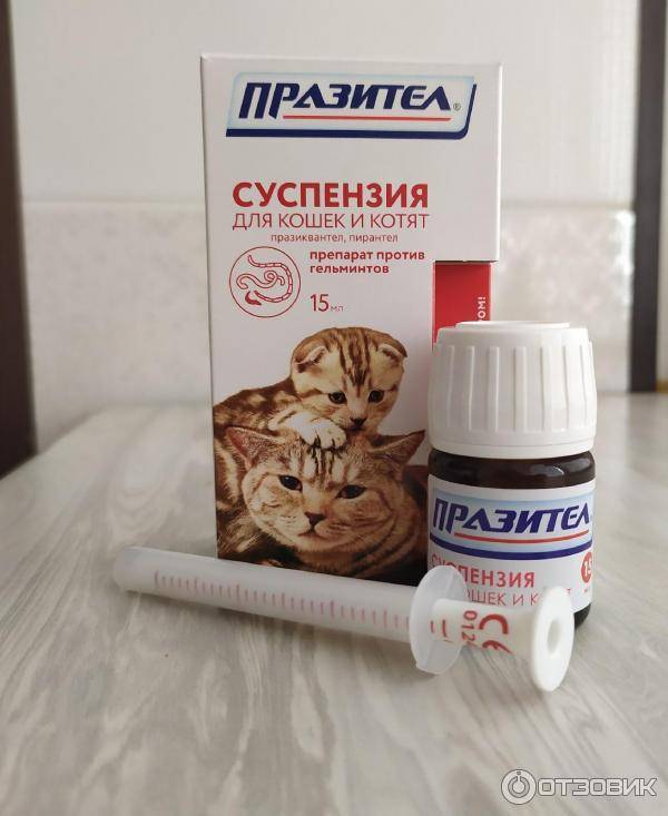 Празител для кошек и котят: инструкция по применению суспензии и таблеток, состав и дозировка