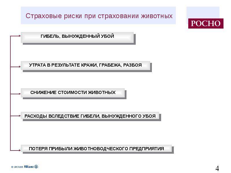Страхование животных в россии. правила страхования животных сельскохозяйственных и домашних :: businessman.ru