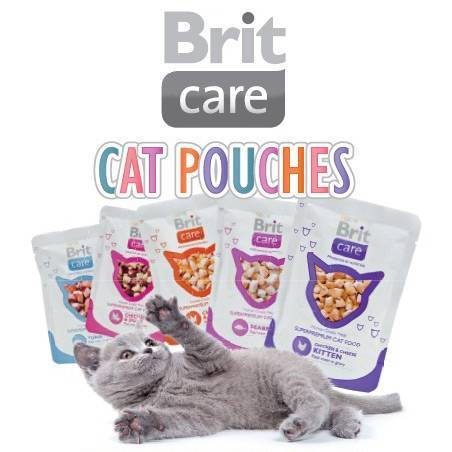 Корм brit care для кошек — отзывы, разбор состава, цена