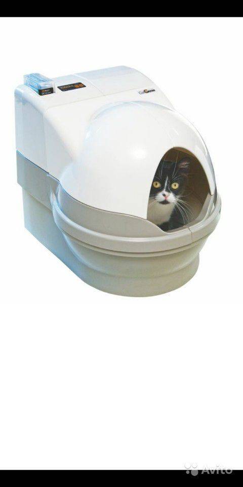Автоматические туалеты для кошек: особенности, выбор и рейтинг моделей. автоматический туалет для кошек в умном доме: принципы работы и популярные модели