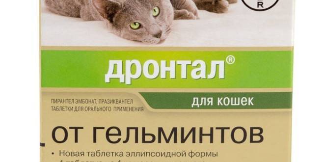 Дронтал для кошек и котов: дозировка, применение и показания к использованию с описанием побочных эффектов лекарства